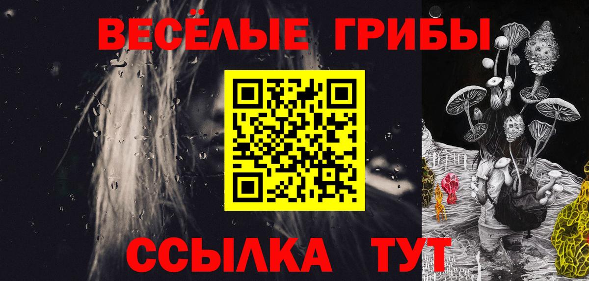 Галлюциногенные грибы GOLDEN TEACHER Ачхой-Мартан